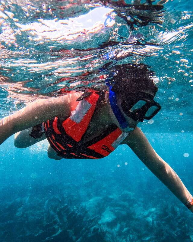 Tulum: Snorkeling at Paradise Reef - Key Points