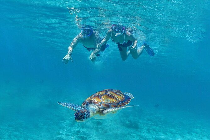 Tulum, Snorkeling with Sea Turtles, Cenote and Beachside Lunch - The Itinerary Breakdown