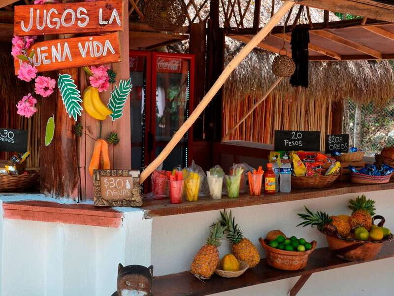 Tulum: Swim in Cenote Kaab Ha with Lunch - Final Thoughts: Who Will Love This Tour?