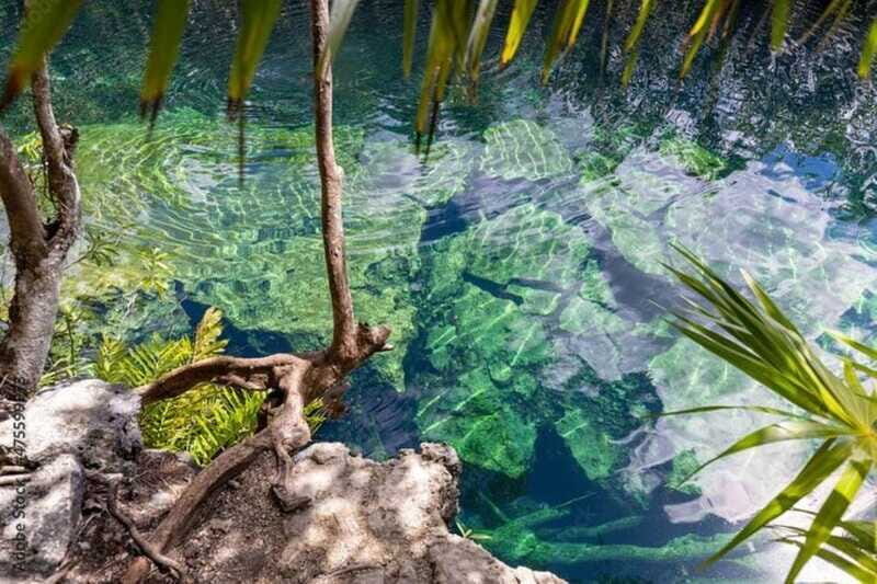 Tulum: Tour 4 Cenotes Casa Tortuga - Practical Details: Transportation, Duration, and Group Size