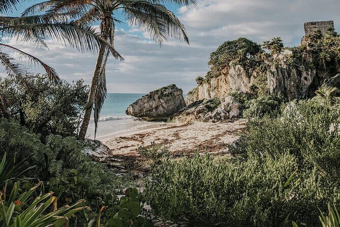 Tulum Transportation Service 24/7 The Most Reliable and safe. - Authentic Experiences and Review Insights