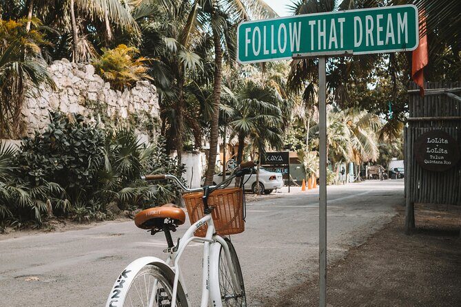 Tulum Transportation Service 24/7 The Most Reliable and safe. - In The Sum Up