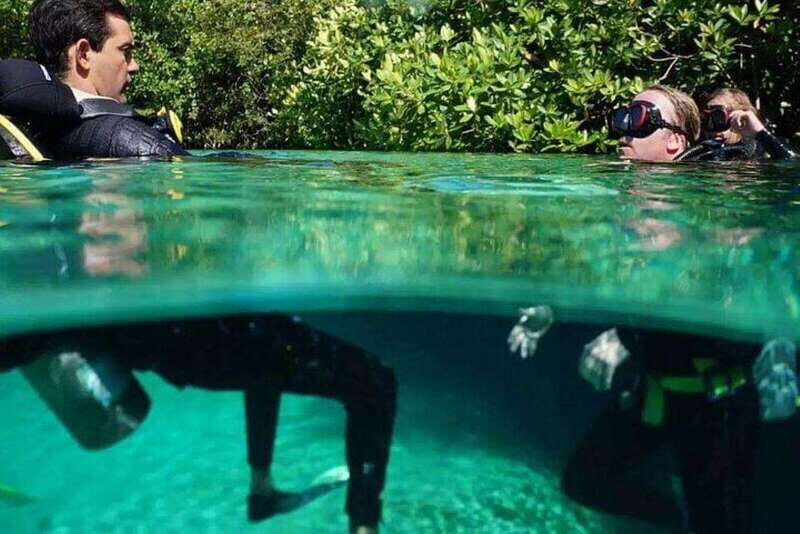 Tulum: Wonders of the Underwater World Discover Scuba Diving - Key Points