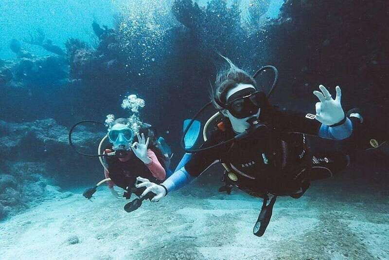 Tulum: Wonders of the Underwater World Discover Scuba Diving - The Value and Pricing