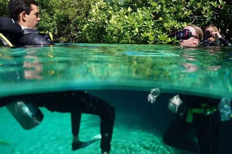 Tulum: Wonders of the Underwater World Discover Scuba Diving - Practical Tips for Participants