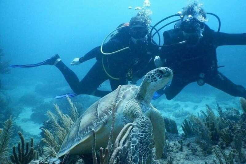 Tulum: Wonders of the Underwater World Discover Scuba Diving - The Sum Up
