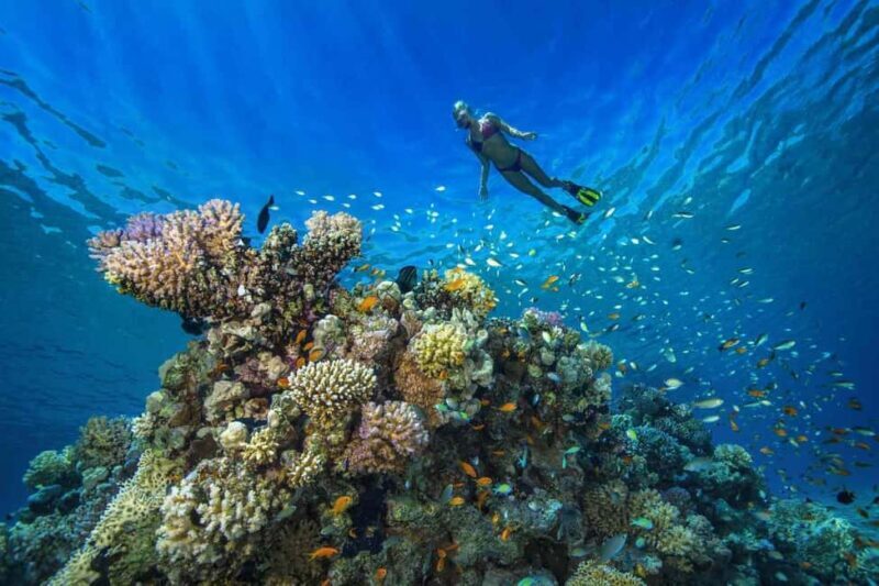 Tumbatu island snorkling tour : from Kendwa & Nungwi - The Itinerary: What to Expect on Your Day
