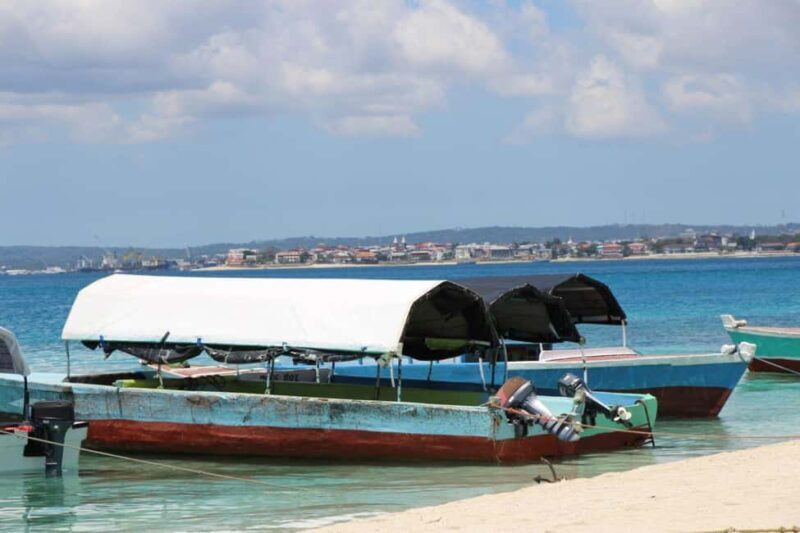 Tumbatu island snorkling tour : from Kendwa & Nungwi - The Experience in Review: What Travelers Say