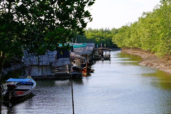 Tung Yee Peng Mangrove Forest Tour By Longtail Boat From Koh Lanta - An In-Depth Look at the Tung Yee Peng Mangrove Forest Tour