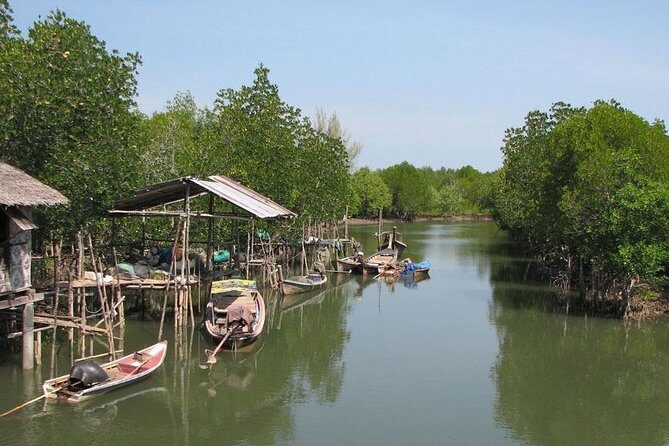 Tung Yee Peng Mangrove Forest Tour By Longtail Boat From Koh Lanta - Final Thoughts
