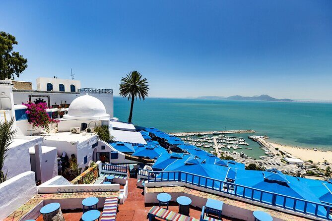 Tunis Group Tour: Carthage, Sidi Bou Said, Bardo museum & Medina - Who Will Love This Tour?