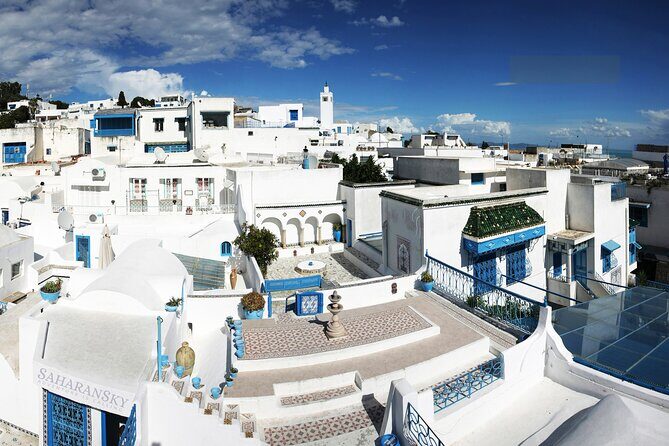 Tunis Group Tour: Carthage, Sidi Bou Said, Bardo museum & Medina - Final Thoughts