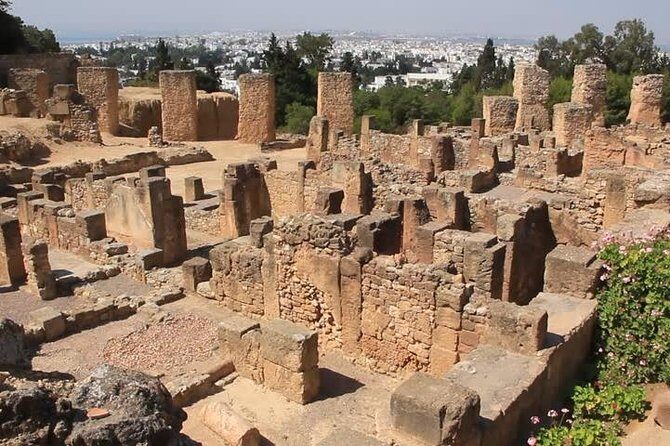 Tunis, Sidi Bousaid and Carthage day trip from Hammamet - Who Should Book This Tour?