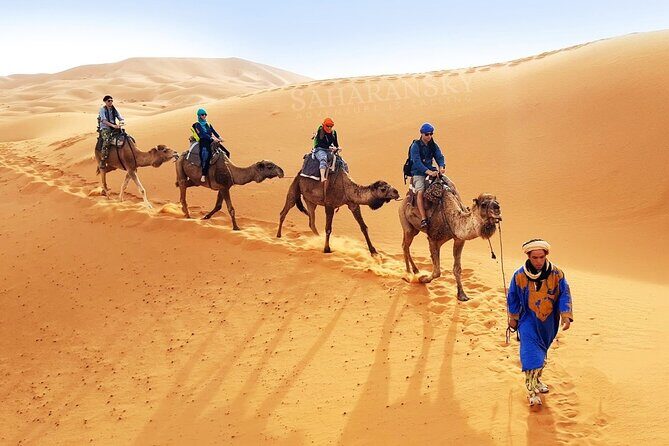Tunisia Sahara Desert Camel Ride in Douz - Key Points