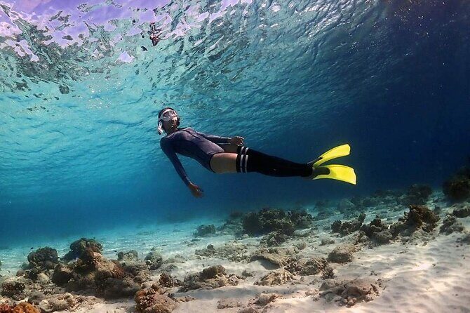 Tunku Abdul Rahman Park 2 Islands Hopping Tour from Kota Kinabalu - Key Points