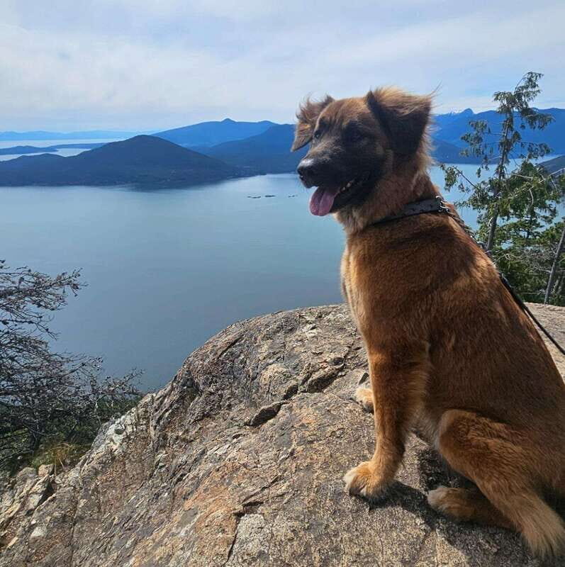 Tunnel Bluffs Hiking Day Trip- Vancouver - An Overview of the Experience