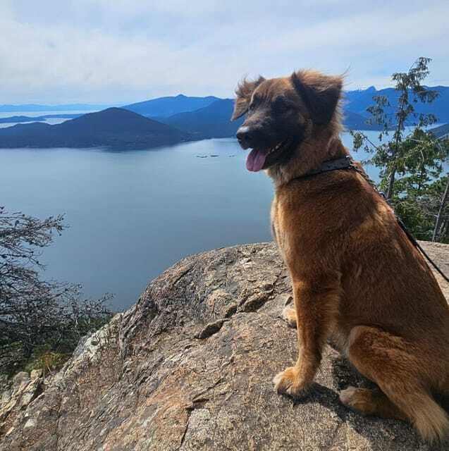 Tunnel Bluffs Hiking Day Trip- Vancouver - Final Thoughts