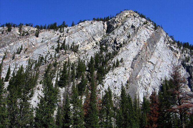 Tunnel Mountain Trail: a Smartphone Audio Nature Tour - Potential Drawbacks to Consider