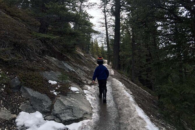 Tunnel Mountain Trail: a Smartphone Audio Nature Tour - Final Thoughts