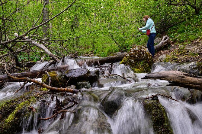 Turnagain Arm Highlights Photo Tour - The Experience: What Sets It Apart