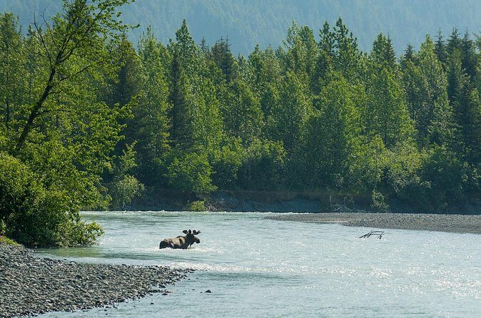 Turnagain Arm Highlights Photo Tour - FAQ Section