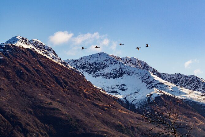 Turnagain Arm Sightseeing Experience and Wildlife Tour - The Value of the Experience