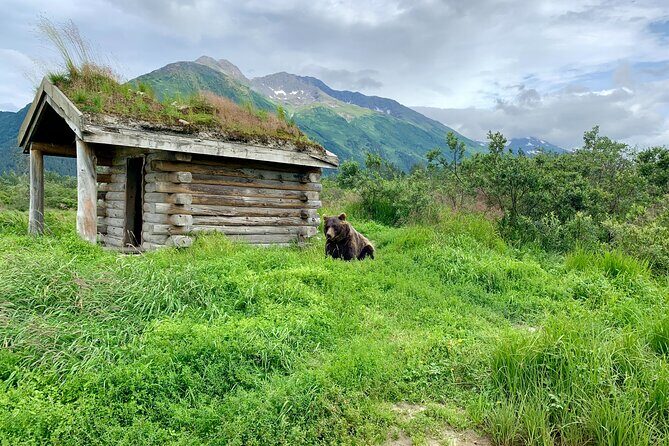 Turnagain Arm Sightseeing Experience and Wildlife Tour - Who Will Appreciate This Tour?