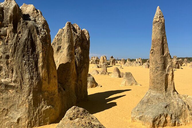Turquoise Coast and Pinnacles Desert Private day Tour from Perth - Final Thoughts