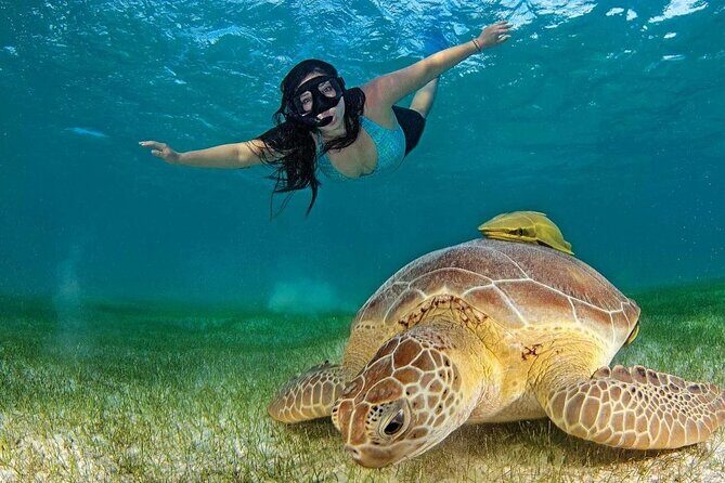 Turtle Akumal Adventure! + Tulum Ruins From Cancun & Playa Del Carmen - FAQ