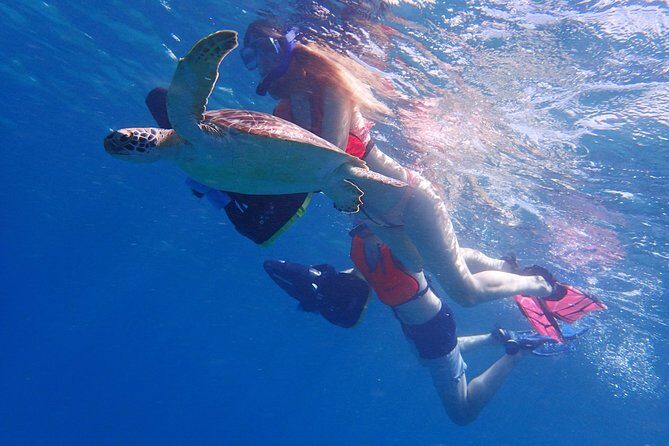Turtle Beach Power Snorkeling Adventure - What Makes the Tour Special?