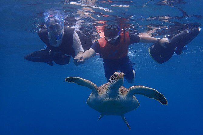 Turtle Beach Power Snorkeling Adventure - Who Will Enjoy This Tour?