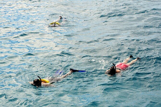 Turtle Canyon Snorkel Adventure in Waikiki - Final Thoughts