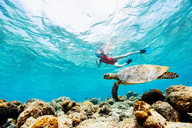 Turtle Canyon Snorkel Adventure - Small Group 6 Passengers - FAQs