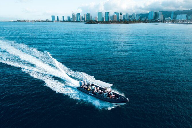 Turtle Canyon Snorkel: Semi Private Boat Tour - A Deep Dive into the Turtle Canyon Snorkel Experience