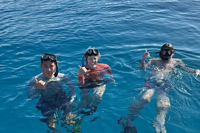Turtle Canyon Snorkel Tour - Semi-private: 6 passenger max - Key Points