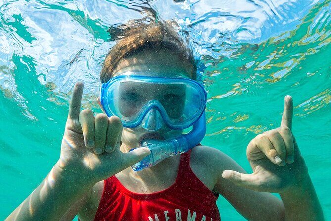Turtle Canyon Waikiki Snorkel Adventure - Pros and Cons Based on Traveler Feedback