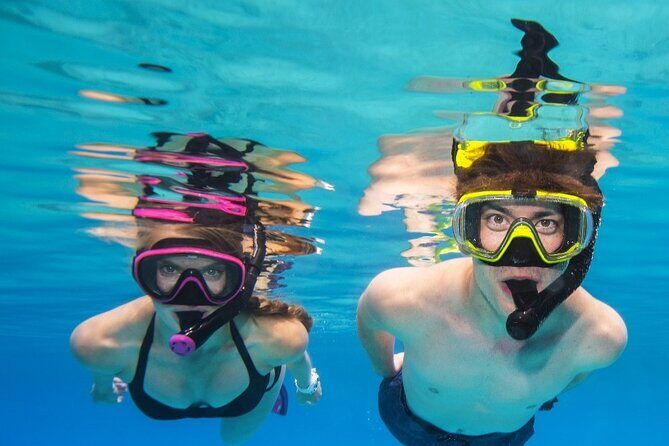 Turtle Canyon Waikiki Snorkel Adventure - Who Is This Tour Best For?