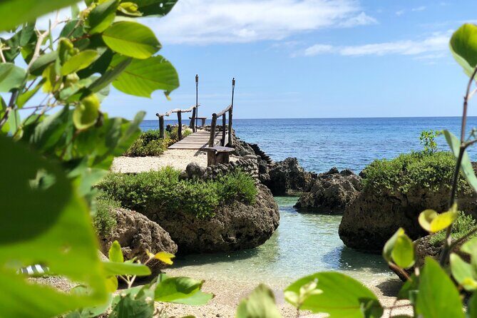Turtle Encounter with Yumi Tours - FAQs