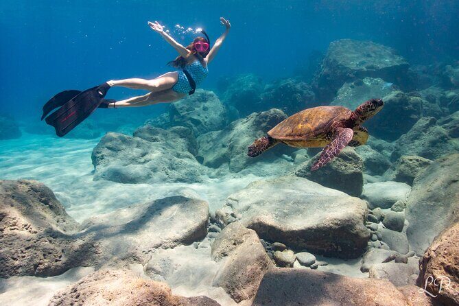 Turtle Gardens West Maui Snorkel Tour - Discover Maui’s Underwater World with the Turtle Gardens Snorkel Tour