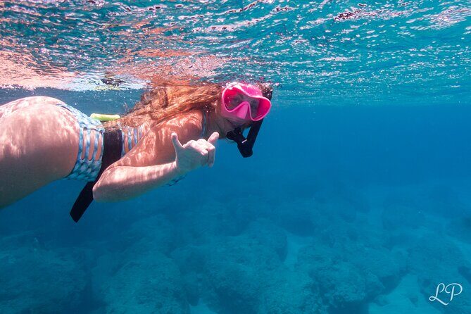 Turtle Gardens West Maui Snorkel Tour - A Deep Dive into the Maui Snorkel Experience