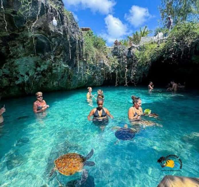 TURTLE INTERACTION EXPERIENCE & SACRED SWIM AT SALAAM CAVE - Key Points