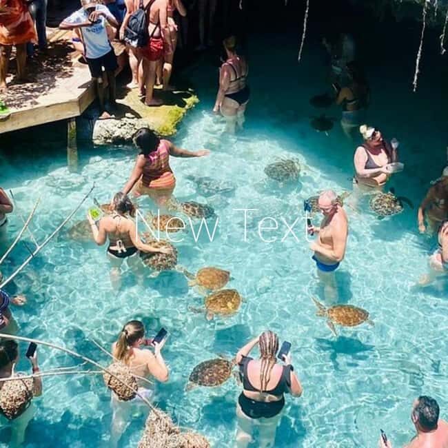 TURTLE INTERACTION EXPERIENCE & SACRED SWIM AT SALAAM CAVE - Why This Tour Is a Great Choice