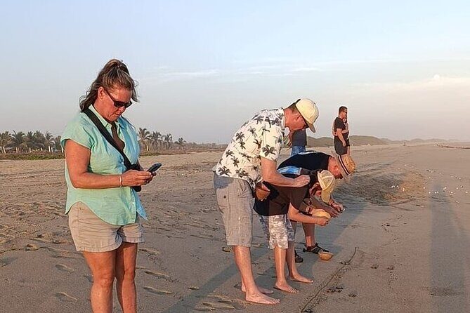 Turtle Release at Escobilla Beach - Authentic and Meaningful Conservation