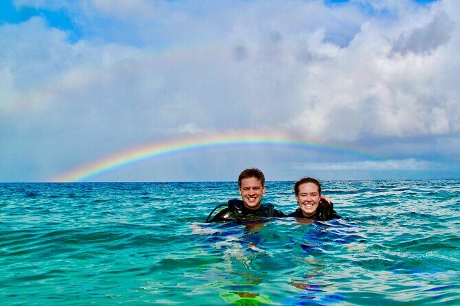 Turtle & Shark Scuba Dive in Lahaina: Certified - Key Points