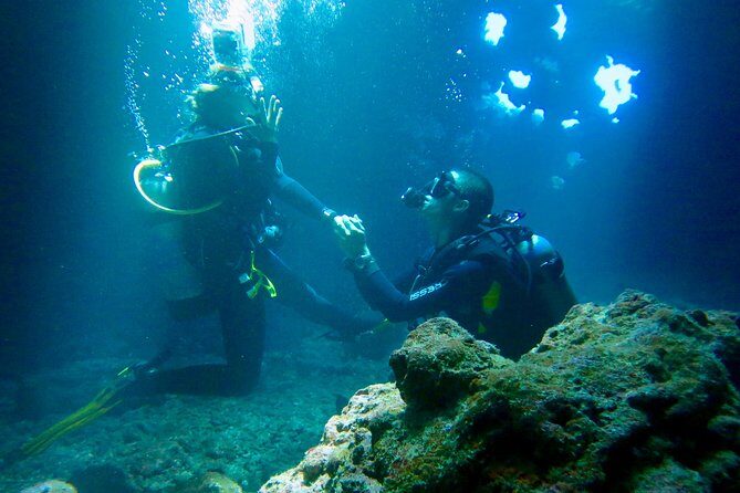 Turtle & Shark Scuba Dive in Lahaina: Certified - An Overview of the Lahaina Private Scuba Experience