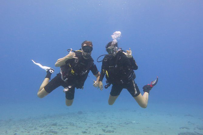 Turtle & Shark Scuba Dive in Lahaina: Certified - Authentic Feedback from Participants