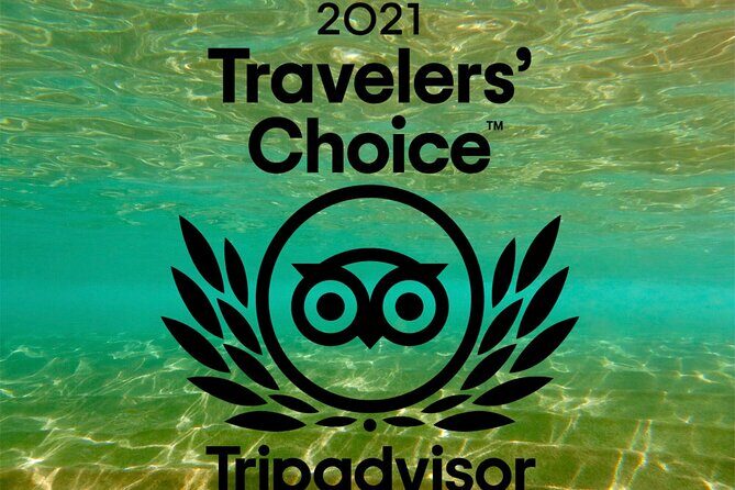 Turtle & Shark Scuba Dive in Lahaina: Certified - Practical Tips for Future Divers