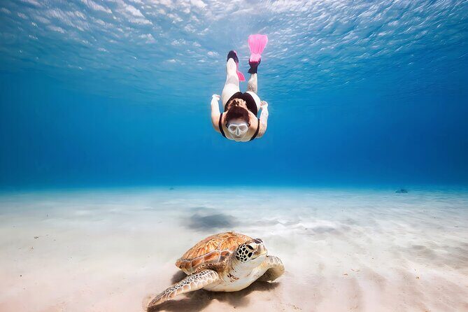 Turtle Sightseeing at Akumal & Underground Caves Tour - An Honest Look at the Turtle & Cenote Tour