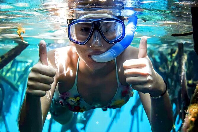 Turtle Sightseeing at Akumal & Underground Caves Tour - Final Thoughts
