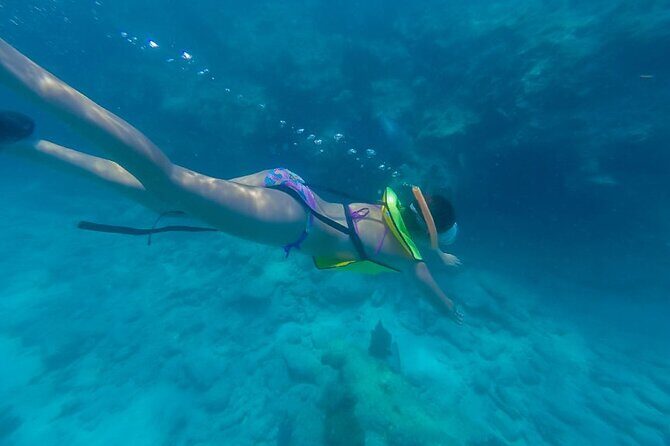 Turtle Snorkel Sail on Buck Island from Frenchman's Reef - Who Will Enjoy This Tour?